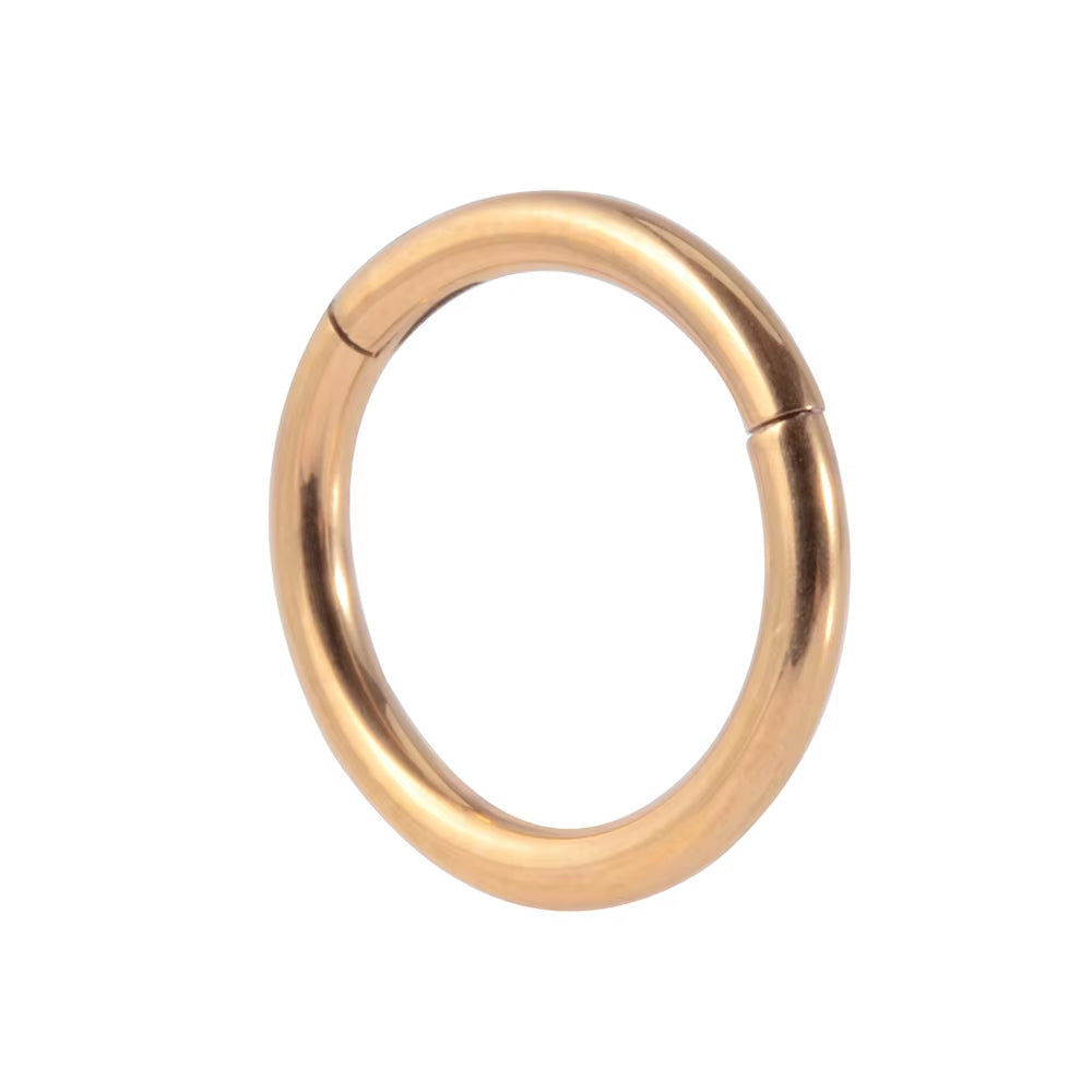 1PC 16G Surgical Steel Cartilage Earring Hoop Snake Shape Hinged Septum Nose Clicker Helix Tragus Earring Piercing